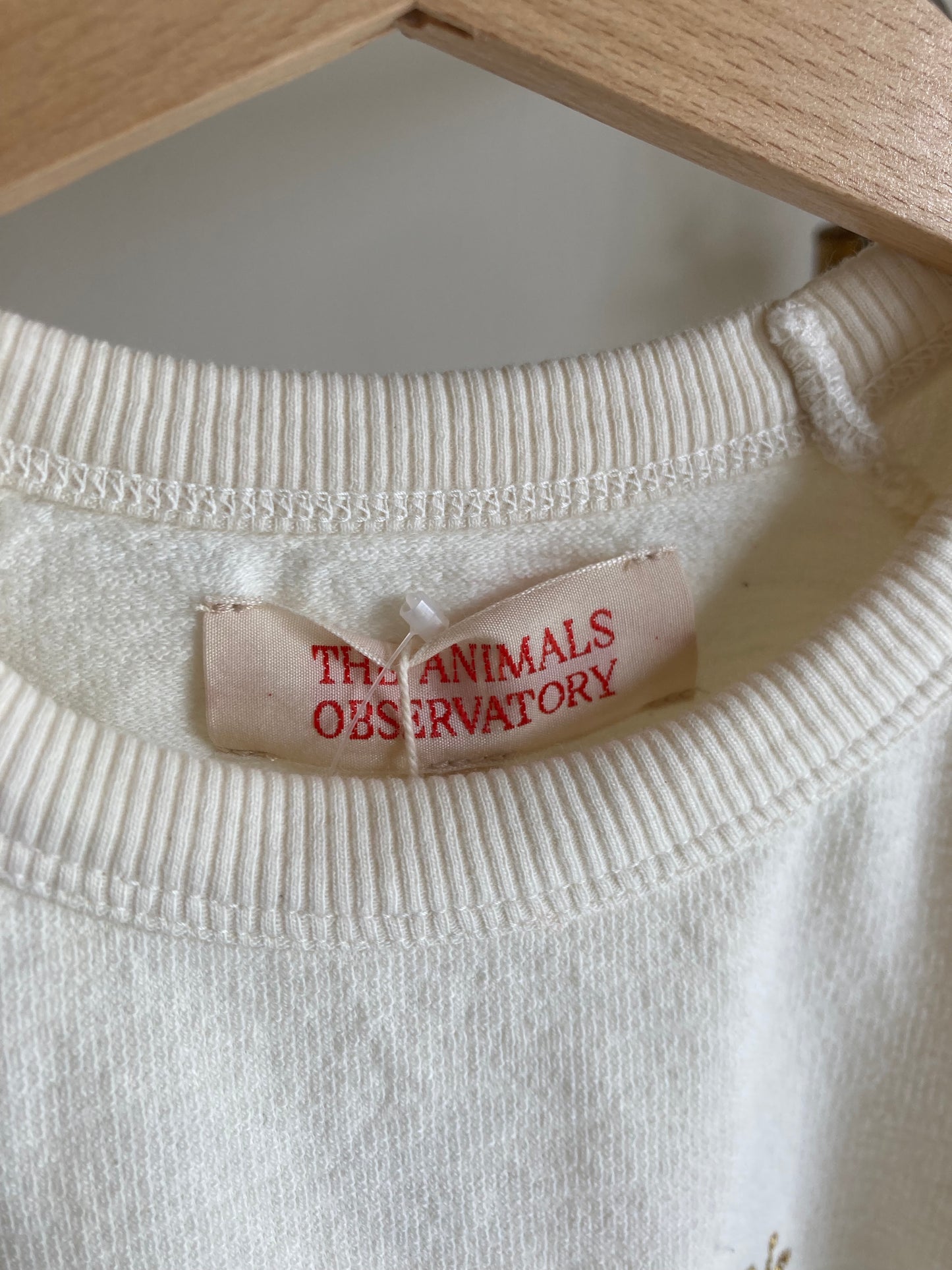 TAO / white squab crop top