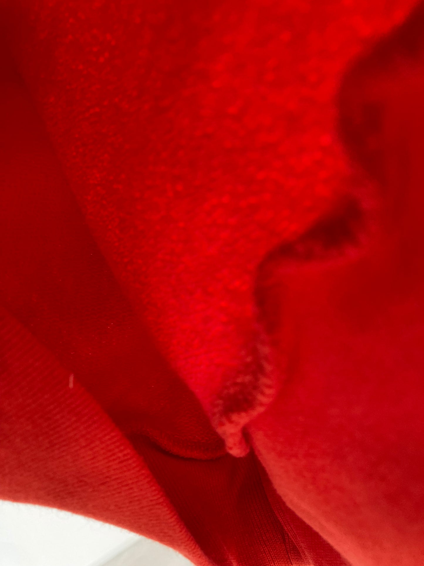 TAO / bear kids sweat shirt / red billy the dog last 10y !