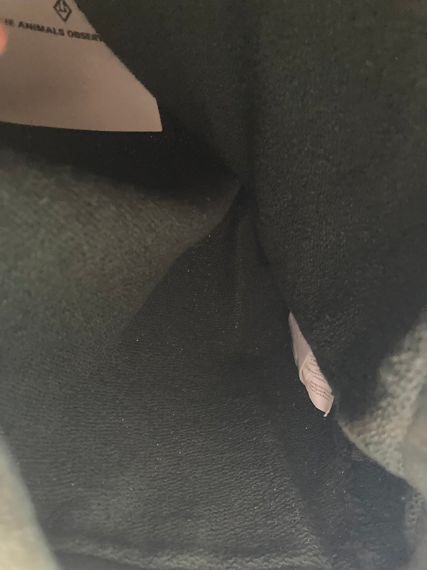 TAO / beaver kid hoodie