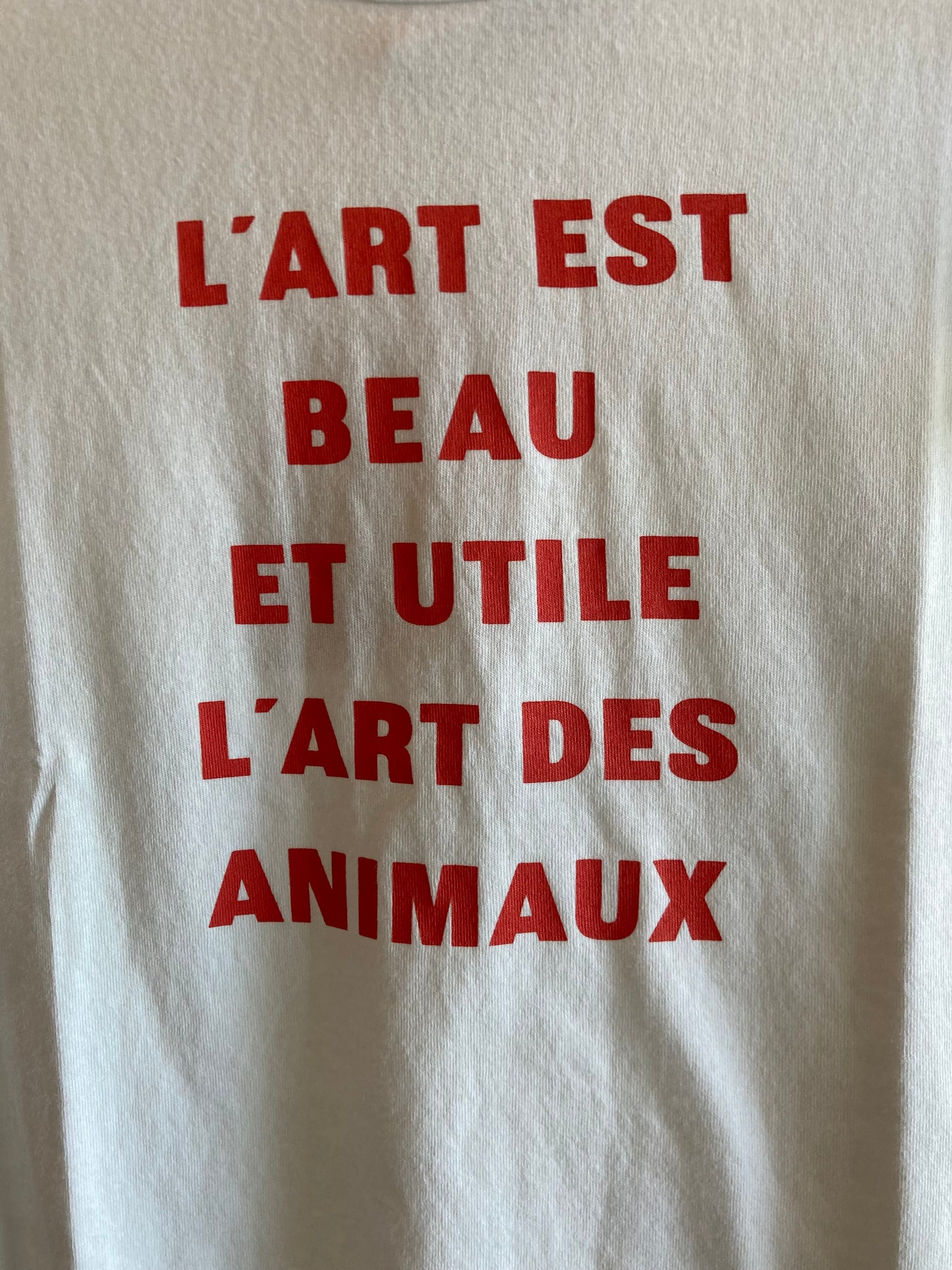 TAO / rooster kids T-shrt