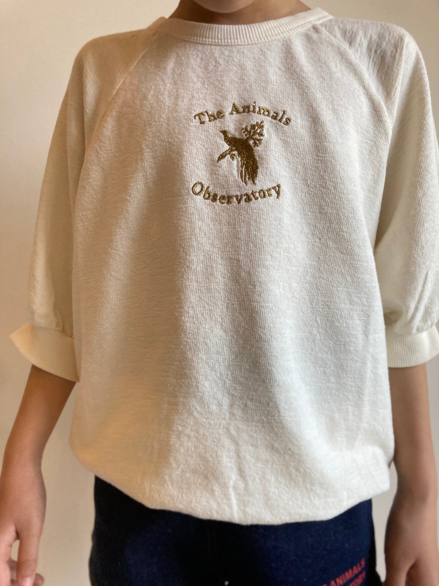 TAO / white squab crop top