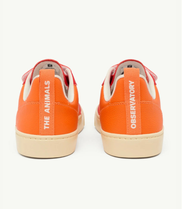 TAO / Veja Soft Sneakers +socks