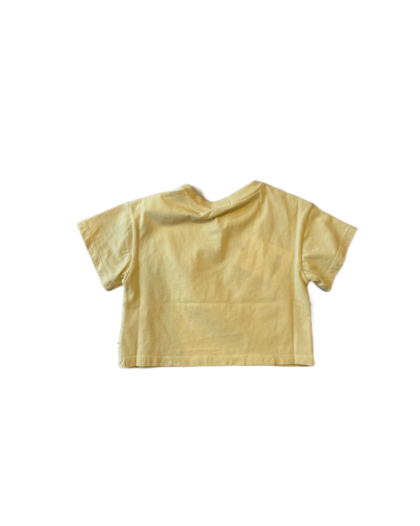 the new society / solare T