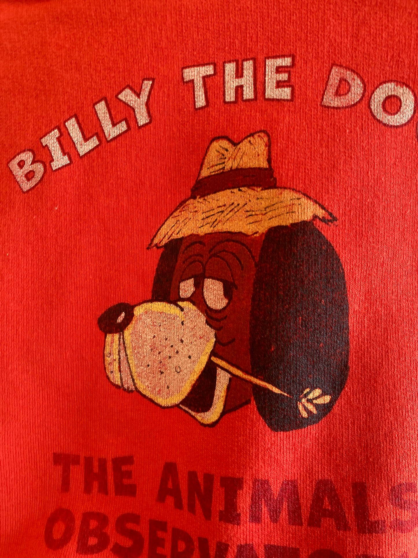 TAO / bear kids sweat shirt  / red billy the dog