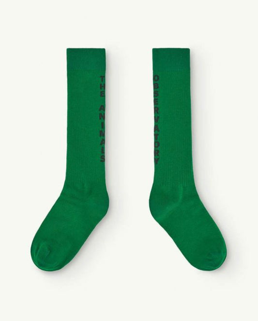 TAO / warm socks green