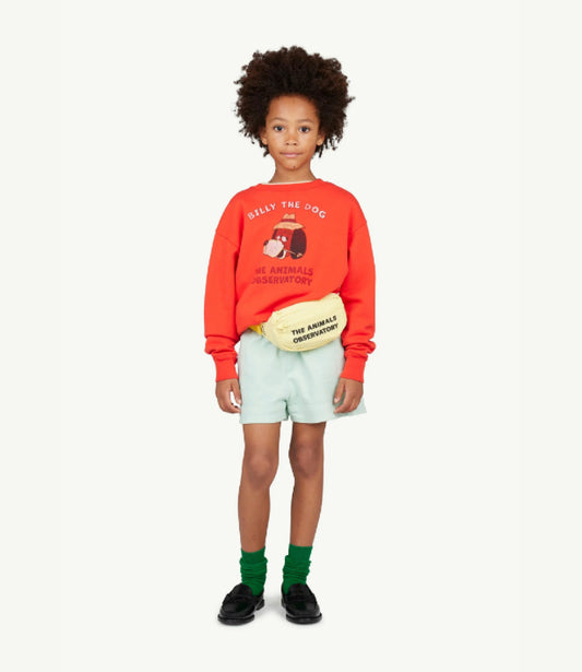 TAO / bear kids sweat shirt  / red billy the dog last 10y !